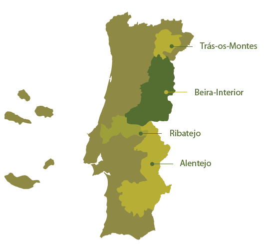 Olive Oil Regions